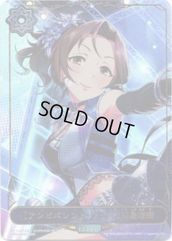 画像1: ※商品説明必読【リーダー】〔アンビバレント・アクト〕川島瑞樹