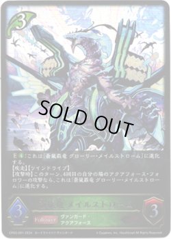 画像1: 蒼嵐竜 メイルストローム