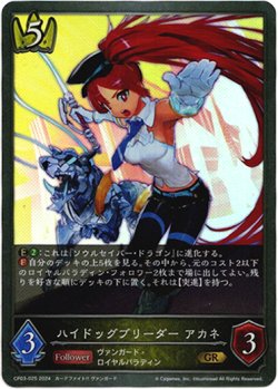 画像1: ハイドッグブリーダー アカネ