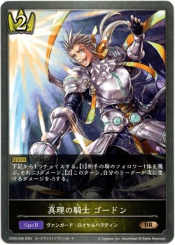 画像1: 真理の騎士 ゴードン