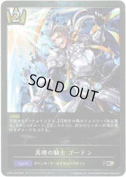 画像1: 【プレミアム】真理の騎士 ゴードン