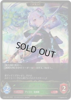 画像1: ※傷有り品（返品交換対象外）【EVOLVE】コッコロ