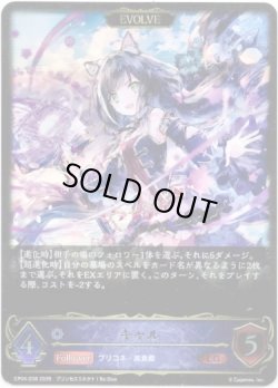 画像1: ※傷有り品（返品交換対象外）【EVOLVE】キャル
