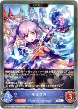 画像1: 【EVOLVE】キョウカ