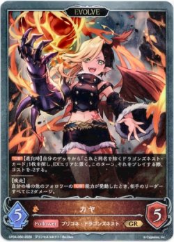 画像1: 【EVOLVE】カヤ