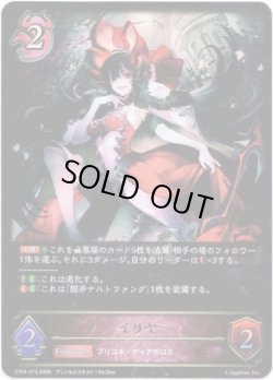 画像1: ※傷有り品（返品交換対象外）イリヤ