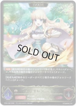 画像1: ※傷有り品（返品交換対象外）【EVOLVE】サレン