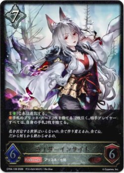 画像1: カイザーインサイト