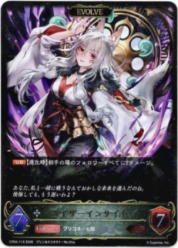 画像1: 【EVOLVE】カイザーインサイト