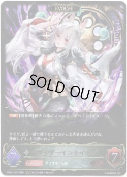 画像1: ※傷有り品（返品交換対象外）【EVOLVE】カイザーインサイト