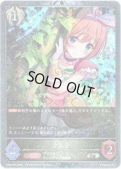 画像1: 【プレミアム】クルミ