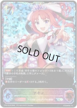 画像1: ※傷有り品（返品交換対象外）【スーパーレジェンド】アキノ