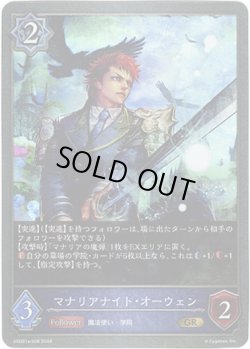 画像1: マナリアナイト・オーウェン