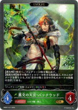 画像1: 【EVOLVE】薫交の天宮・バックウッド