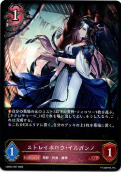 画像1: ストレイホロウ・イルガンノ