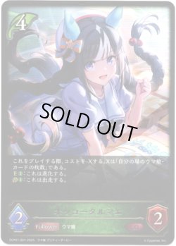 画像1: ホッコータルマエ