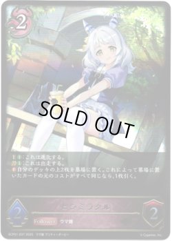 画像1: ※傷有り品（返品交換対象外）ヒシミラクル