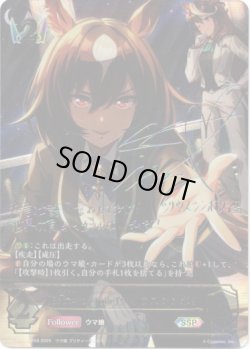 画像1: 【SSP】〔Escorte ?toile〕シリウスシンボリ