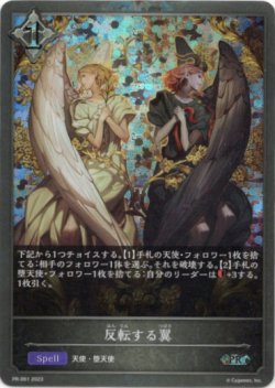 画像1: 【プレミアム】反転する翼