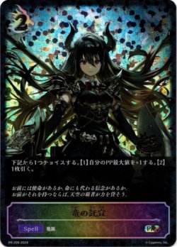 画像1: ※傷有り品（返品交換対象外）【CS2024】竜の託宣