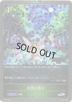 画像1: 【CHAMPIONSHIP QUALIFIER2025】自然の導き