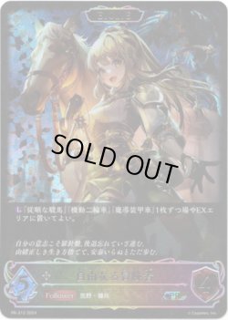 画像1: 【PR】【SL仕様】【EVOLVE】自由なる冒険者