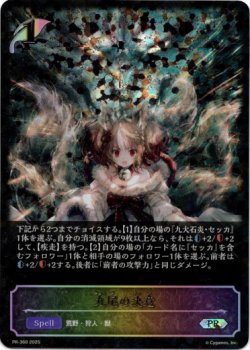 画像1: ※傷有り品（返品交換対象外）【PR】【SL仕様】九尾の決意