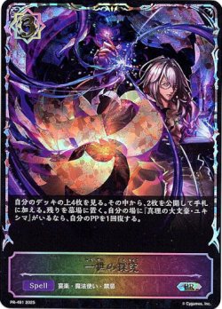 画像1: 【PR】【SL仕様】一世の探究