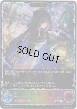 画像1: 【PR】【SL仕様】【EVOLVE】勇気に満ちし者
