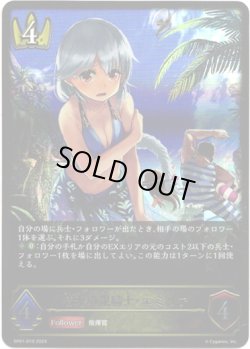 画像1: 晴天の銀騎士・エミリア