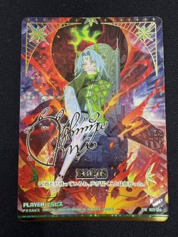 画像2: ※傷有り品（返品交換対象外）【CVR】エルピス