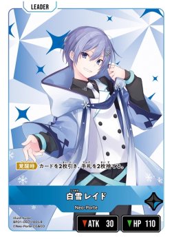 画像1: 白雪レイド