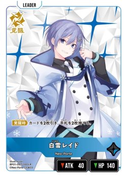 画像2: 白雪レイド