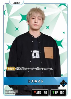 画像1: トナカイト