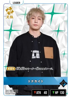 画像2: トナカイト