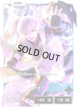 画像1: 【LRP】トナカイト