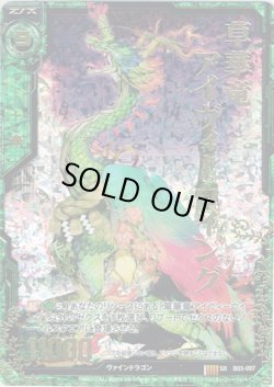 画像1: 【ホログラム】草華竜アイヴィーウイング