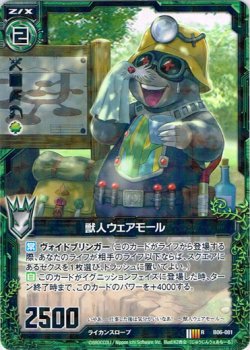 画像1: 【ホログラム】獣人ウェアモール