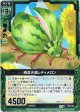 【ホログラム】西瓜天道レディメロン