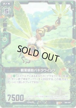 画像1: 【ホログラム】観葉蜻蛉パキラウイング