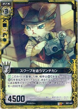 画像1: 【ホログラム】スクープを追うマンチカン