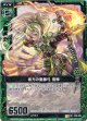 【ホログラム】彼方の重籐弓 雪柳