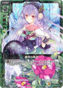 画像1: 【ホログラム】絶佳の風花