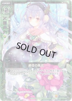 画像1: 【ホログラム】絶佳の風花