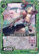 【ホログラム】釵術使いの御庭番 姫一花