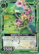 【ホログラム】擬態昆虫サツキファスマ
