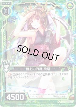画像1: 【ホログラム】樹上の円月 檜扇