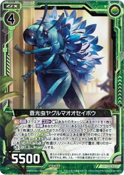 画像1: 蒼光虫ヤグルマオオセイボウ