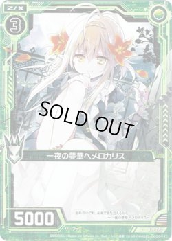 画像1: 【ホログラム】一夜の夢華ヘメロカリス