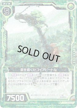 画像1: 【ホログラム】雲を貫くセコイアビートル